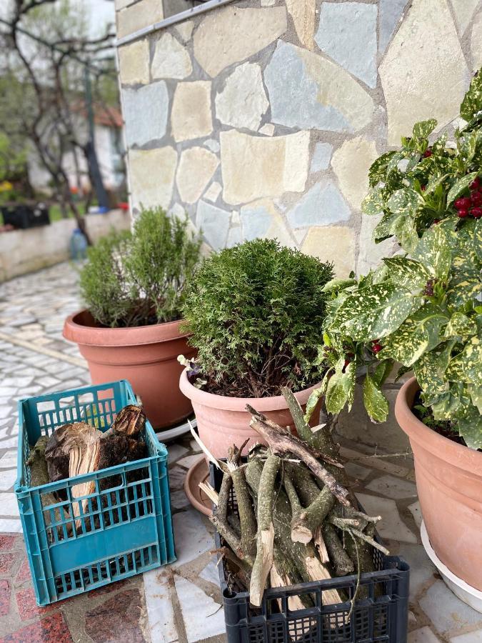 Kasaj Villa Gjirokastra Kültér fotó