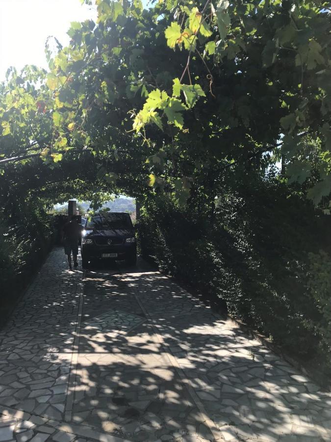Kasaj Villa Gjirokastra Kültér fotó
